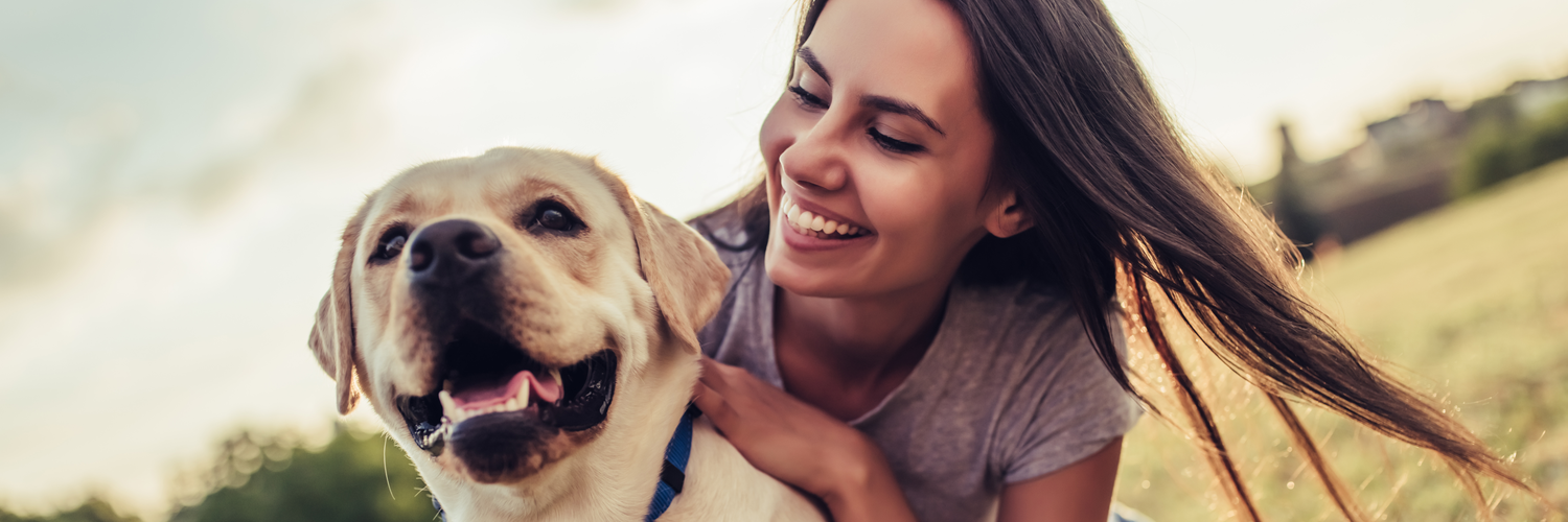 family and friends veterinary hospital